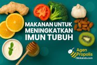5 Makanan Terbaik untuk Meningkatkan Sistem Imun, Apa Saja? - KlikDokter 5 Makanan Terbaik untuk Meningkatkan Sistem Imun, Apa Saja? - KlikDokter