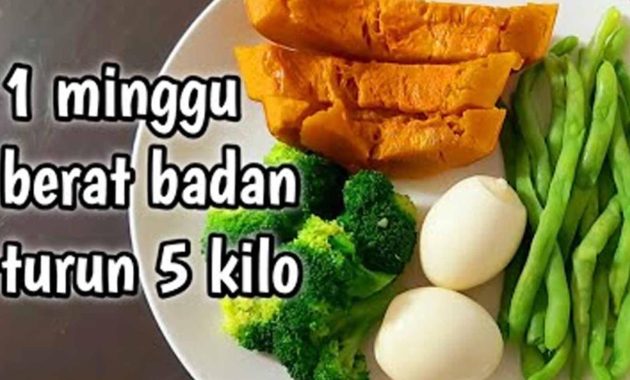 Rencana Diet Sehat Yang Mudah Diikuti Setiap Hari